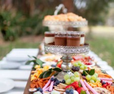 catering-feier-am-netzener-see